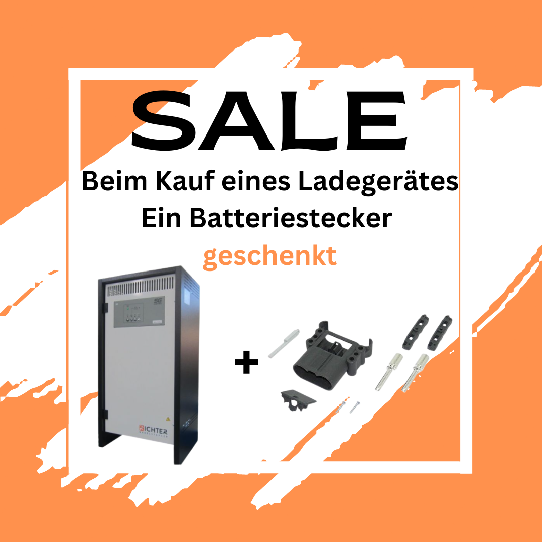 48V Ladegerät inkl. Batteriestecker